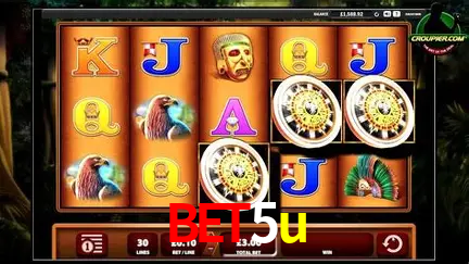 A Experiência Imersiva dos Cassinos Ao Vivo no bet5u